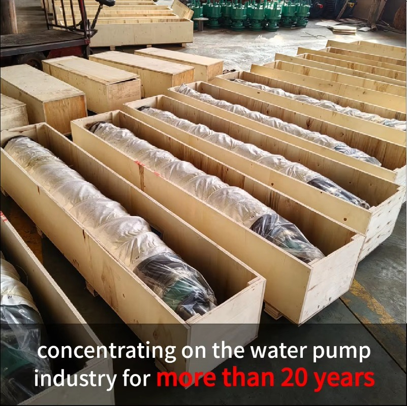 1.5inch 2inch 3inch 4inch 6inc - Water Pump Submersible review and price