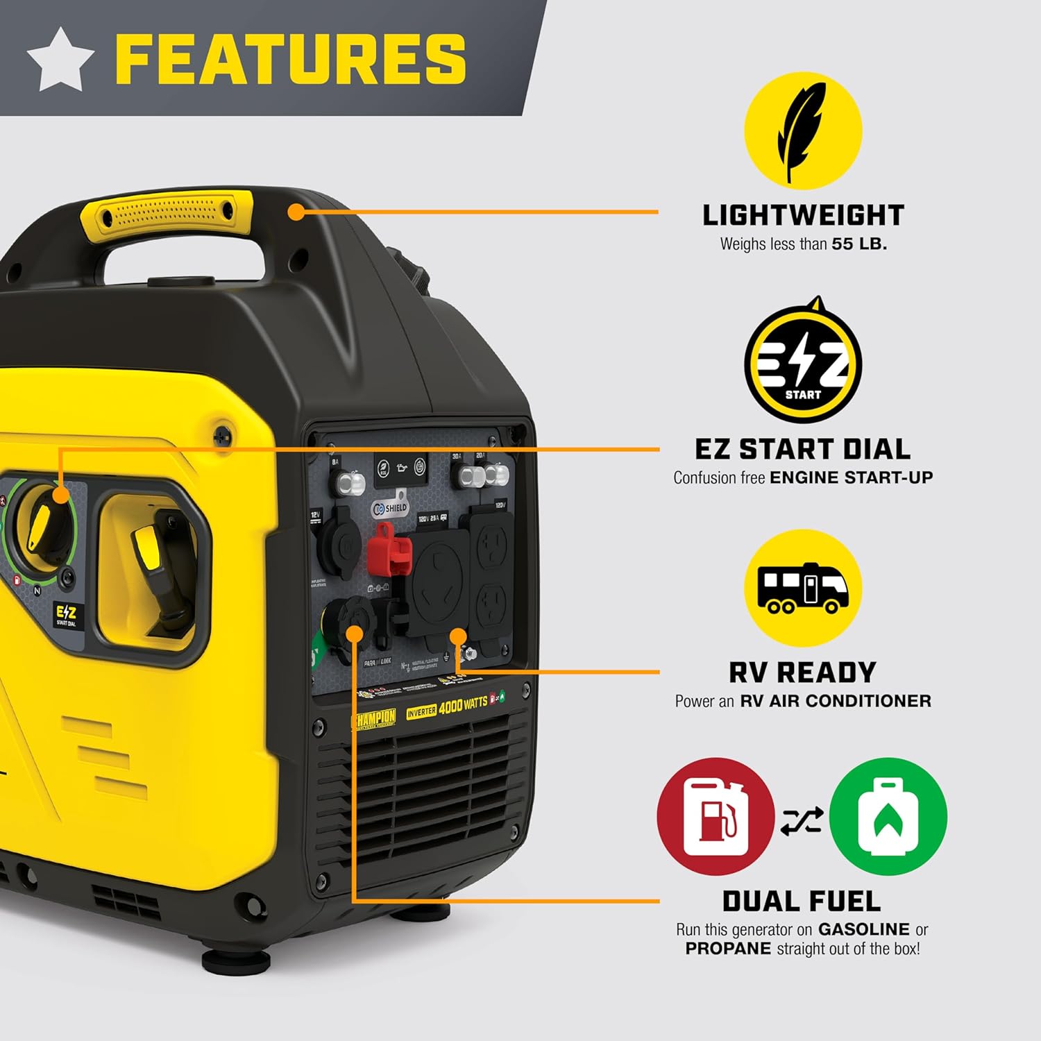 4000-Watt Dual Fuel RV Ready P - Portable Generator Inverter review and price